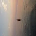 Я Kirill, 41, знакомлюсь для дружбы в Ставрополе