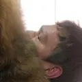 Владимир из Суджи, мне 53, познакомлюсь для регулярного секса