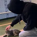 Я Эфенди, 24, из Каспийска, ищу знакомство для дружбы