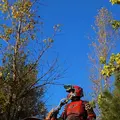 Багет из Курска, мне 35, познакомлюсь без обязательств