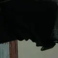 Я Николай, 42, из Приозерска, ищу знакомство для дружбы