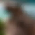 Андрей из Тулы, ищу на сайте знакомства на одну ночь