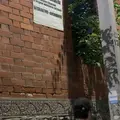 Денис из Находки, мне 20, познакомлюсь без обязательств