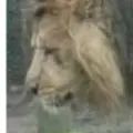 Вика из Калининграда, ищу на сайте секс на одну ночь