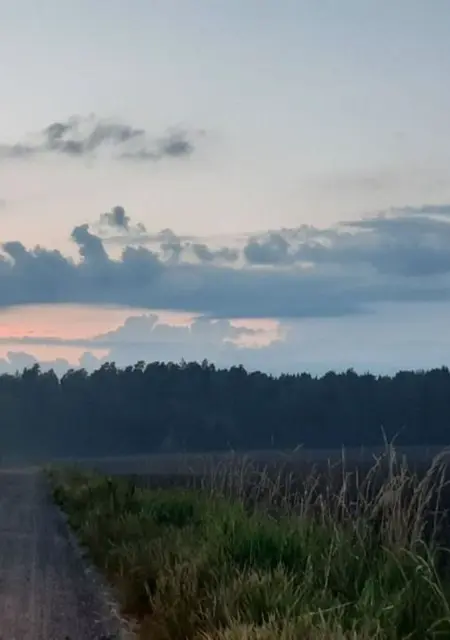 David из Стокгольма, мне 42, познакомлюсь