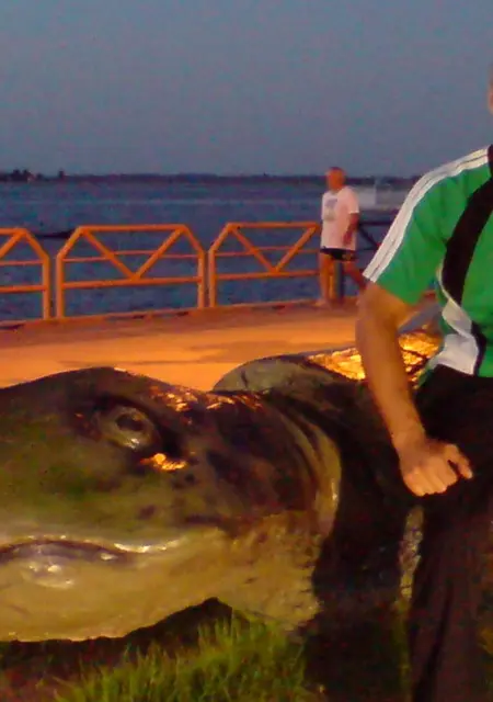 Олег из Пушкина, мне 42, познакомлюсь без обязательств