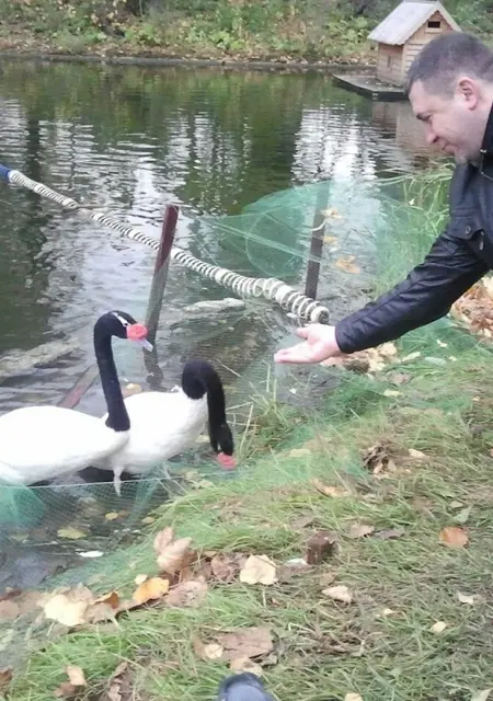 Я Roy, 50, знакомлюсь без обязательств в Череповце