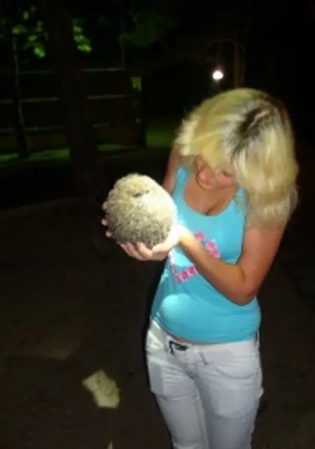 Сергей из Железнодорожного, мне 57, познакомлюсь на одну ночь