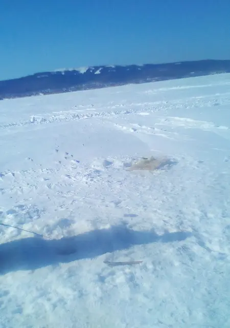 Денис из Биробиджана, ищу на сайте знакомства на одну ночь