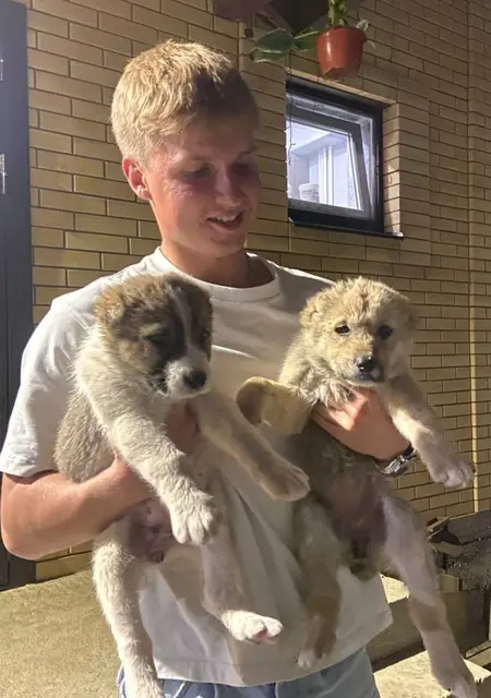 Я Гриша, 22, из Щелково, ищу знакомства на одну ночь