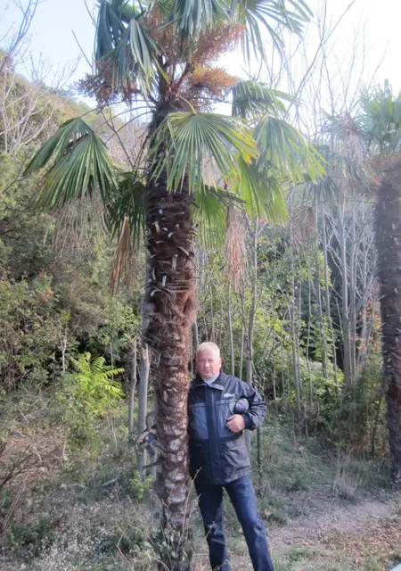 Я Александр, 59, из Крымска, ищу знакомство для постоянных отношений