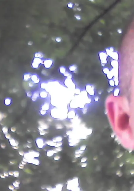 Майкл из Калуги, мне 45, познакомлюсь на одну ночь