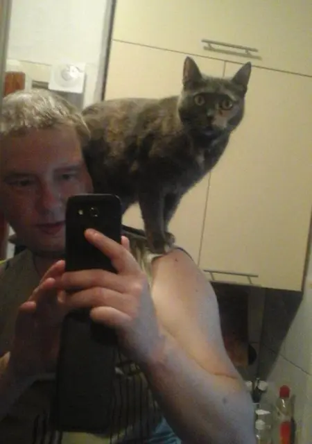 Я Саша, 44, знакомлюсь без обязательств в Томске