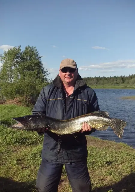 Я Паша, 57, из Пскова, ищу знакомства на одну ночь