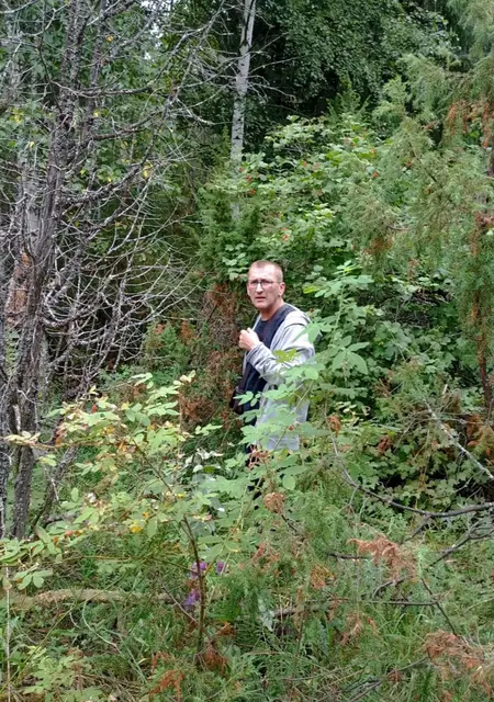 Сергей из Омска, ищу на сайте знакомства без обязательств