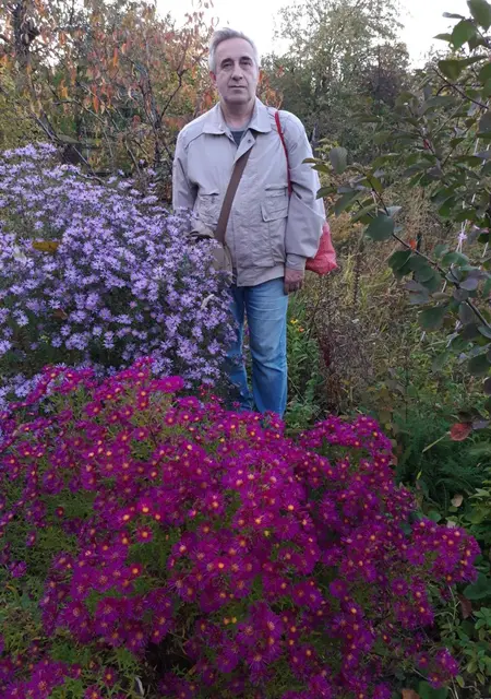 Андрей из Волгограда, ищу на сайте знакомства на одну ночь