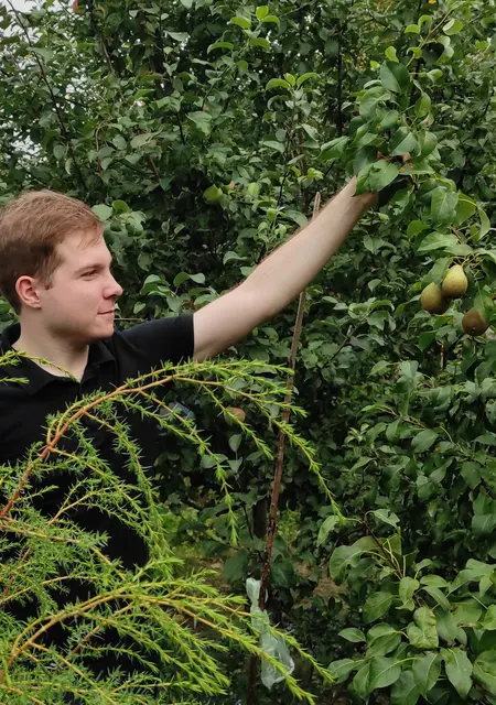 Я Дима, 25, знакомлюсь без обязательств в Балашихе