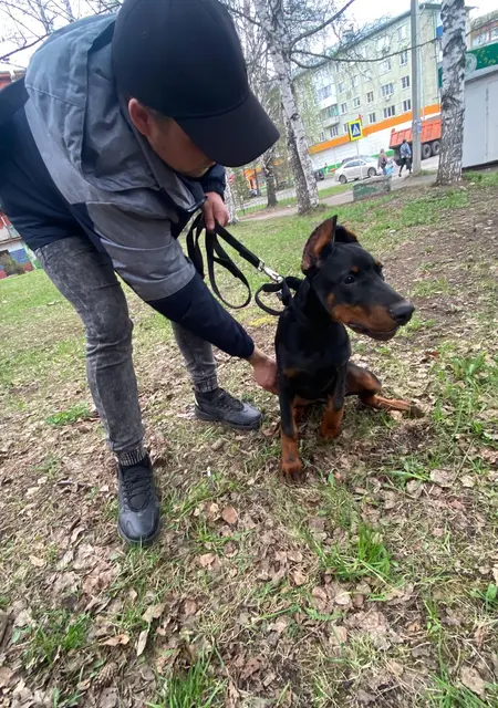 Gender из Новокузнецка, ищу на сайте открытые отношения