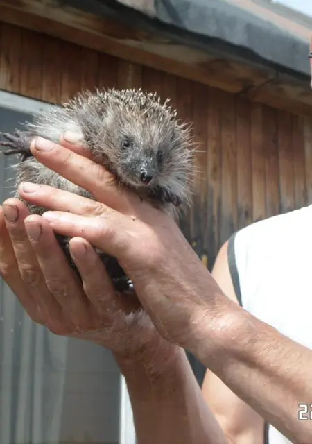 Саня из Брянска, ищу на сайте знакомства на одну ночь