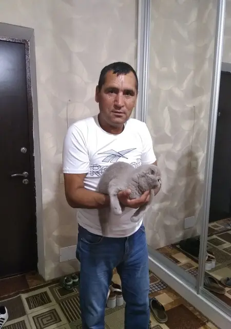 Я Алексей, 54, знакомлюсь на одну ночь в Обнинске