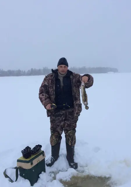 Я Дима, 49, из Александрова, ищу знакомства на одну ночь