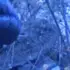 Злата из Городовиковска, ищу на сайте виртуальный секс