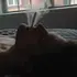 Илья из Железнодорожного, мне 30, познакомлюсь для регулярного секса