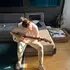 Artem из Одинцова, мне 26, познакомлюсь без обязательств