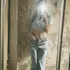 Кристи из Нижнего Новгорода, ищу на сайте приятное времяпровождение