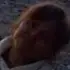 Я Вика, 49, из Иркутска, ищу знакомство для дружбы